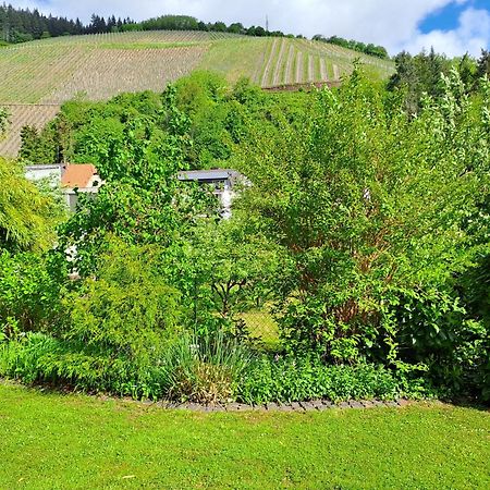 Ferienwohnung Heiming Saarburg Ngoại thất bức ảnh