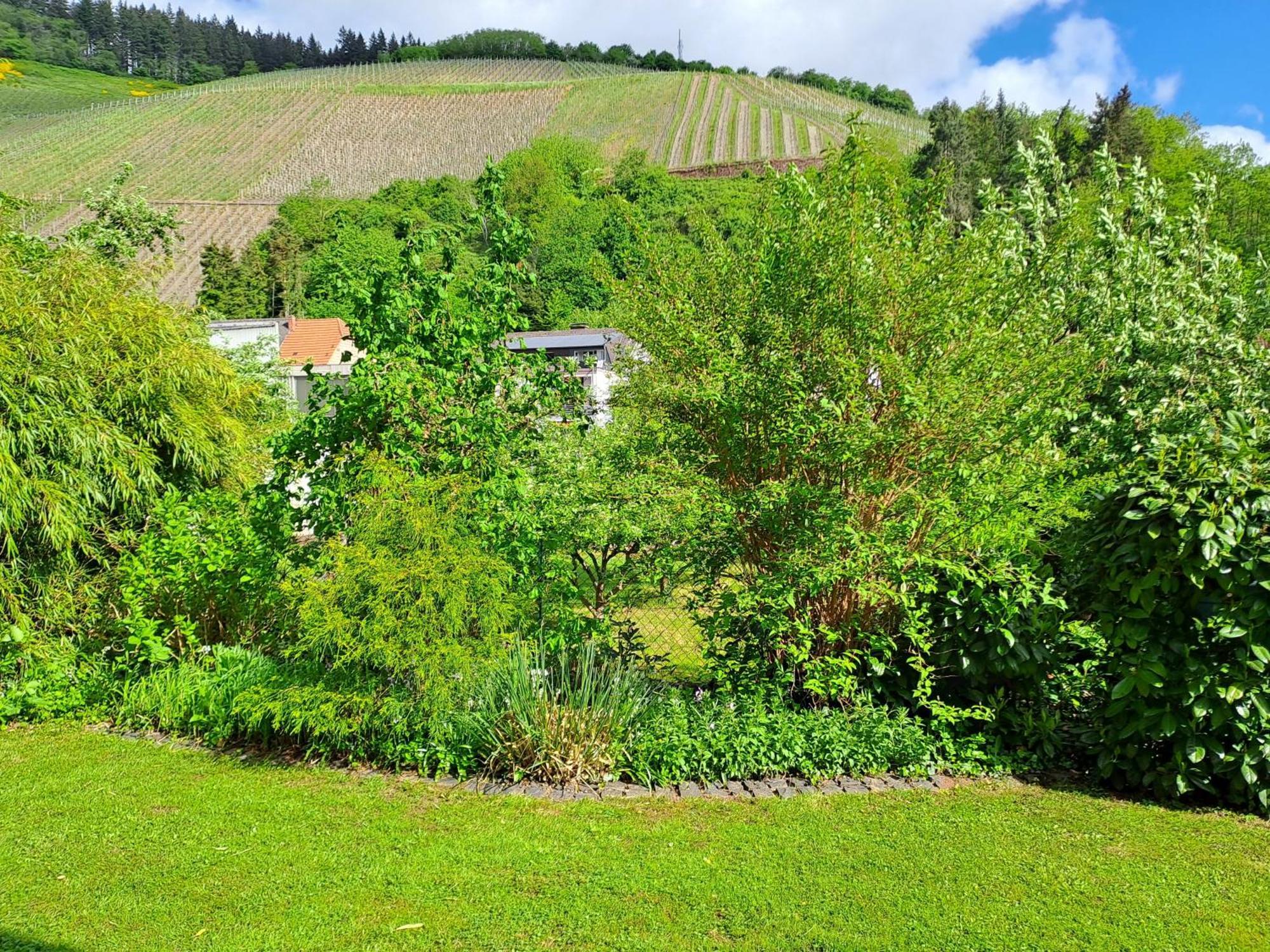 Ferienwohnung Heiming Saarburg Ngoại thất bức ảnh